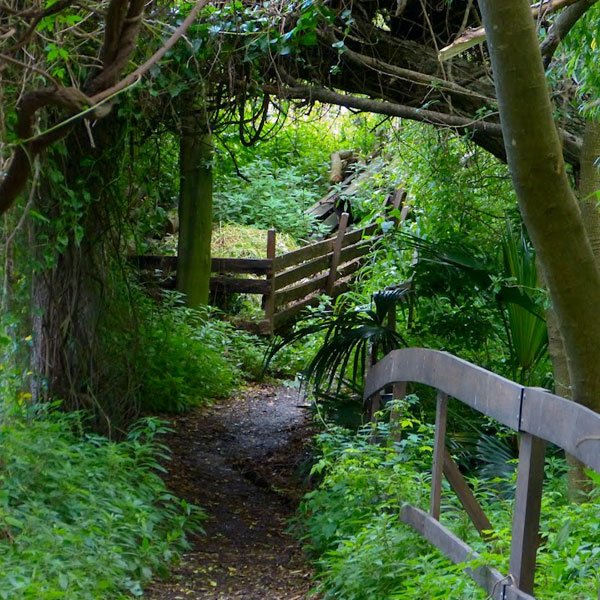 10 Reservas Urbanas para visitar