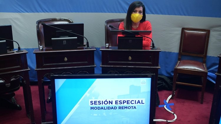El Frente de Todos impuso su mayoría en el Senado y aprobó la creación de una comisión bicameral por el caso Vicentin